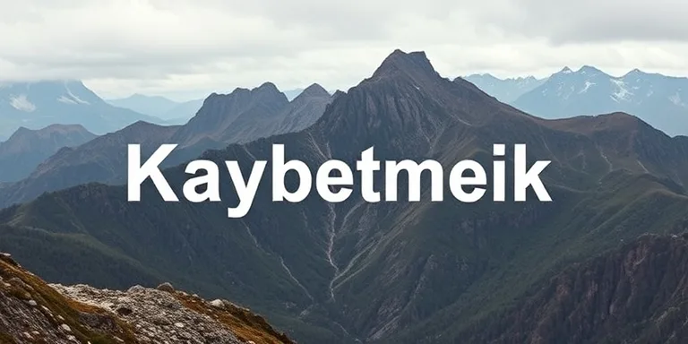 Domain Kaybetmemek