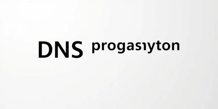 Dns Propagasyon Kontrol