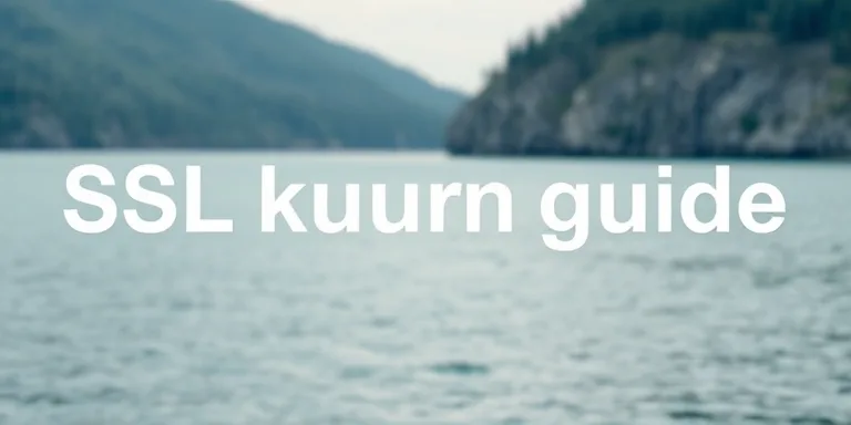 Ssl Kurulum Rehberi